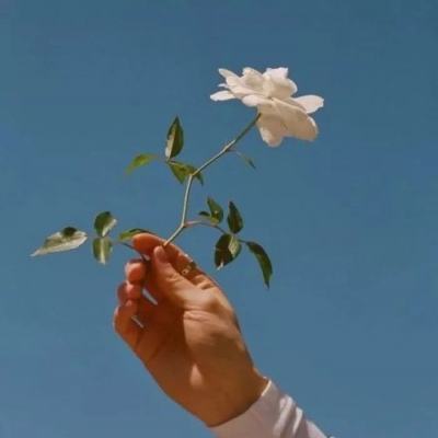 风云玩手游盒子下载