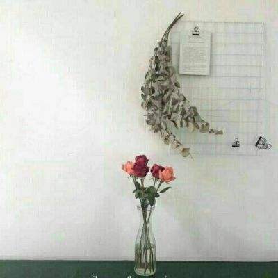 半智英雄手机版下载